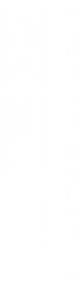 人にやさしく、地球にやさしく